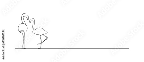Flamingo Line Art