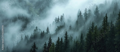 Stormy weather with misty trees on mountain slope.