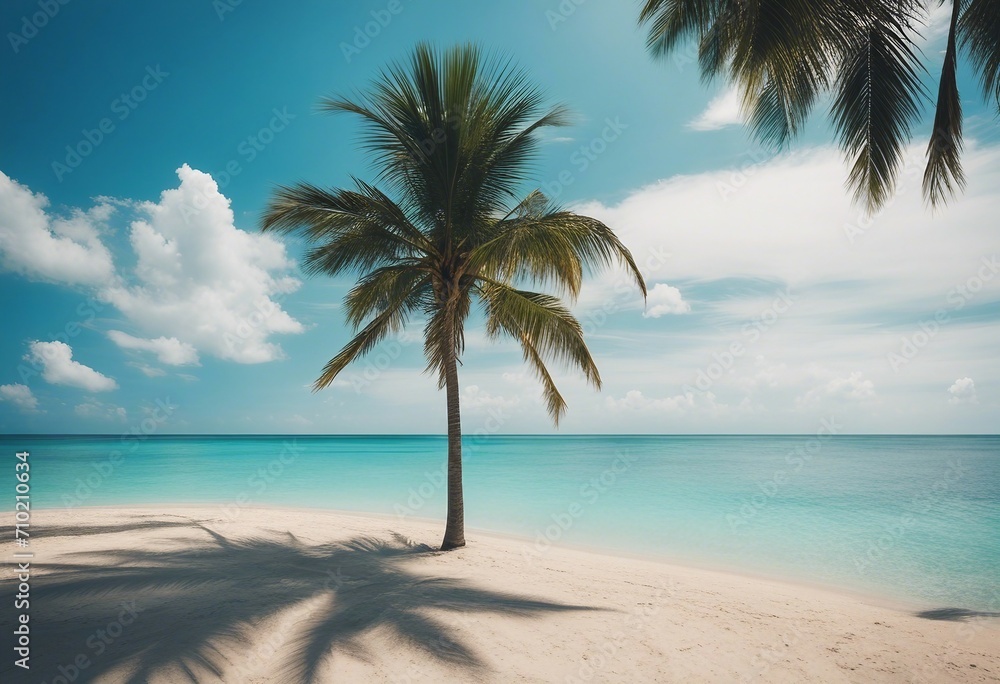 Beautiful palm tree on empty tropical island beach on background blue sky with white clouds and turq