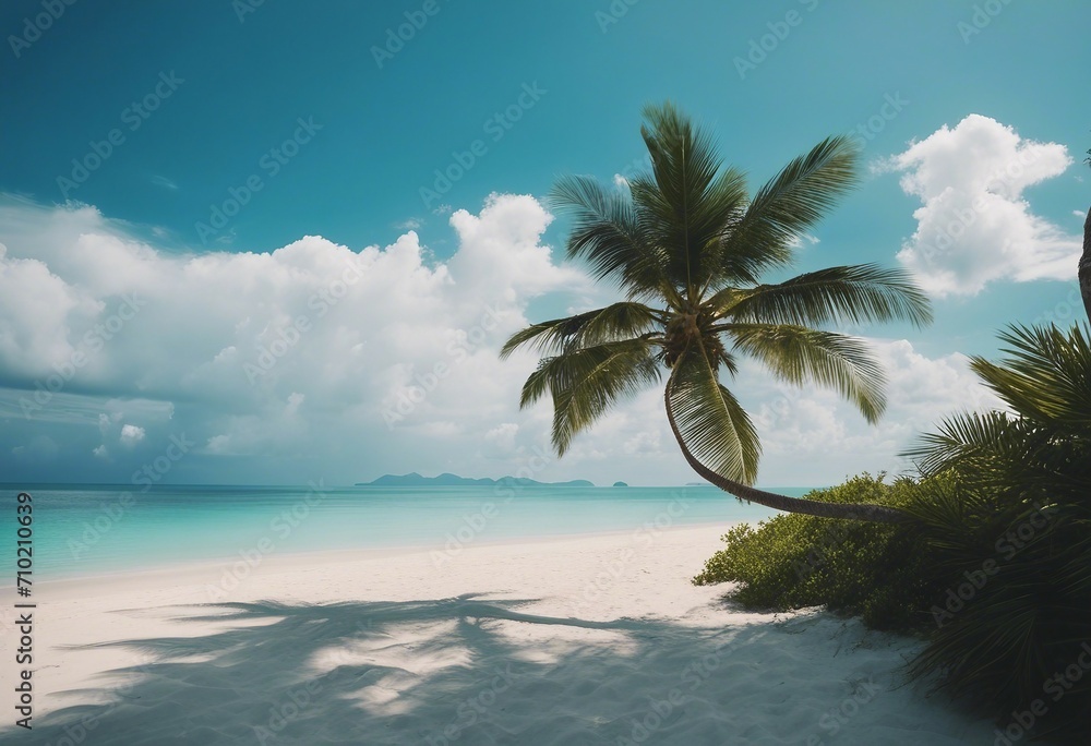 Beautiful palm tree on empty tropical island beach on background blue sky with white clouds and turq