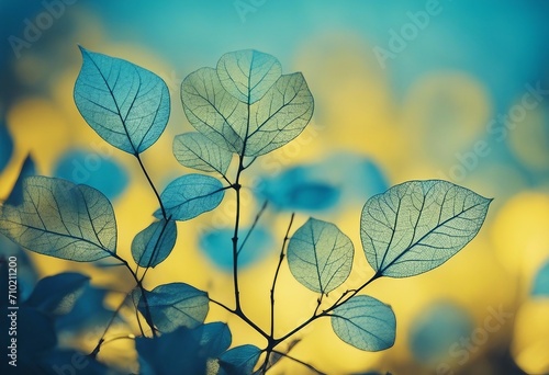 Many transparent silhouettes of skeleton leaves on a blue and yellow background Floral pattern of be