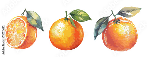 Watercolour painting of an orange
