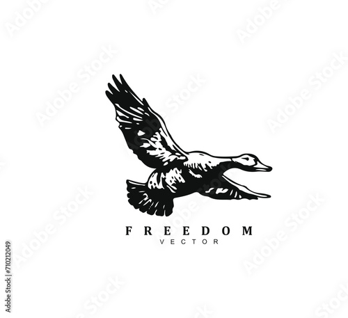 Vintage retro hand drawn flying duck logo design vector illustration