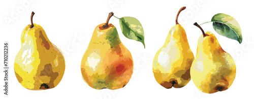 Watercolour painting of pears