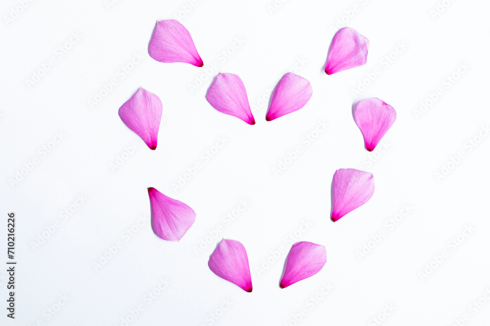group of heart shaped geranium flowers