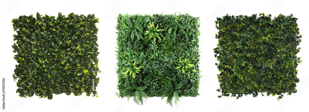Artificial plants decorative panel isolated on white, collection. - obrazy, fototapety, plakaty 