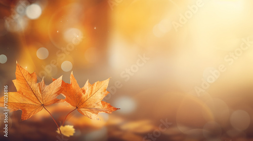 autumn colorful leaves and sun flare. fall background.