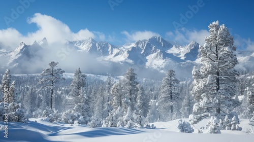 Views of snowy mountains and trees in a winter landscape, with a wide expanse covered in snow.