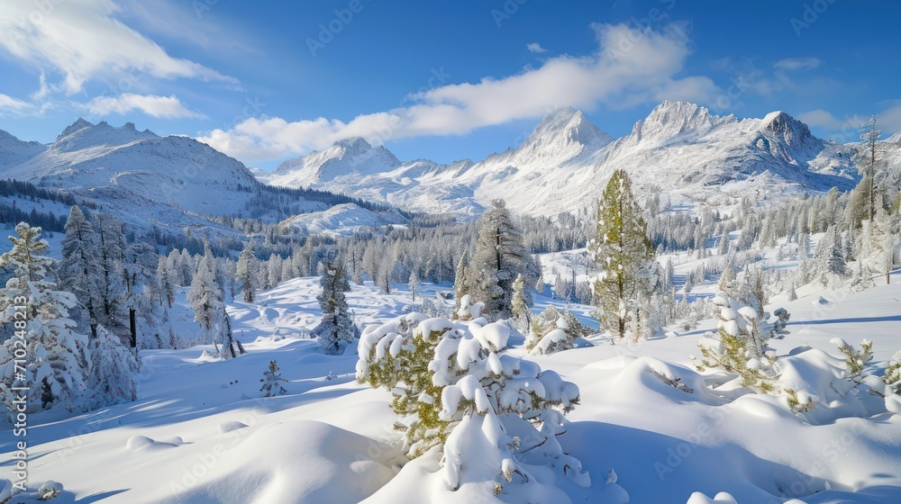 A winter scene featuring a stretch covered in snow, framed by snow-capped mountains and trees