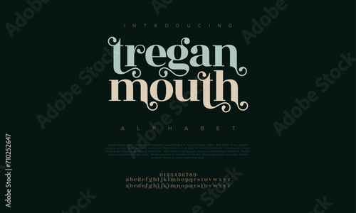 Treganmouth premium luxury elegant alphabet letters and numbers. Elegant wedding typography classic serif font decorative vintage retro. Creative vector illustration