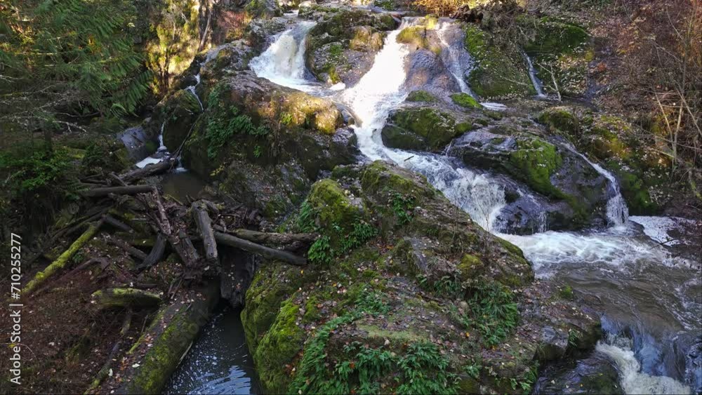 4K video of peaceful river in the pacific northwest America 4K video of peaceful river in the pacific northwest America