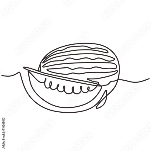 Continuous line drawing. Watermelon fruits. One outline art tropical food. Vector illustration isolated. Minimalist design handdrawn.