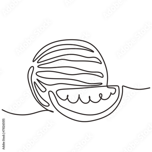 Continuous one line drawing. Watermelon fruits. Single outline art tropical food. Vector illustration isolated. Minimalist design handdrawn.