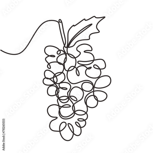 One line drawing grape fruits. Single outline organic nature food. Vector illustration isolated. Minimalist design handdrawn.