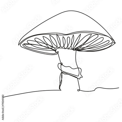 Mushroom continuous one line art drawing. Vector illustration isolated. Minimalist design handdrawn.