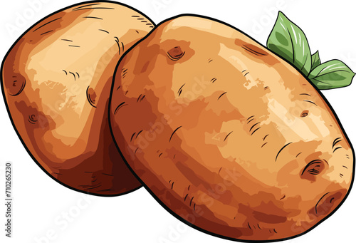 potato vector illustration
