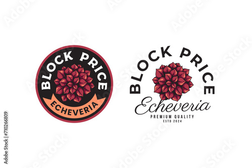 echeveria of block price succulents logo design for plant shop and lover business
