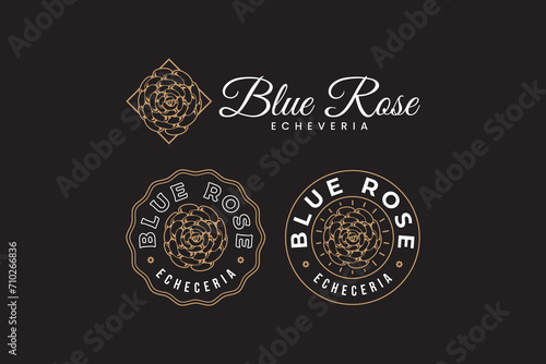 echeveria of blue rose succulents outline logo design for plant shop and lover business
