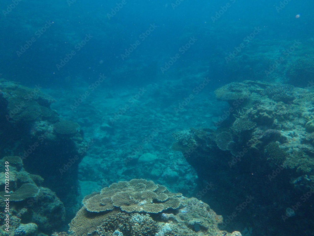 Obraz premium 沖縄の海