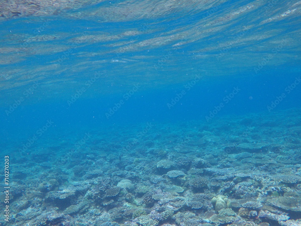 沖縄の海	
