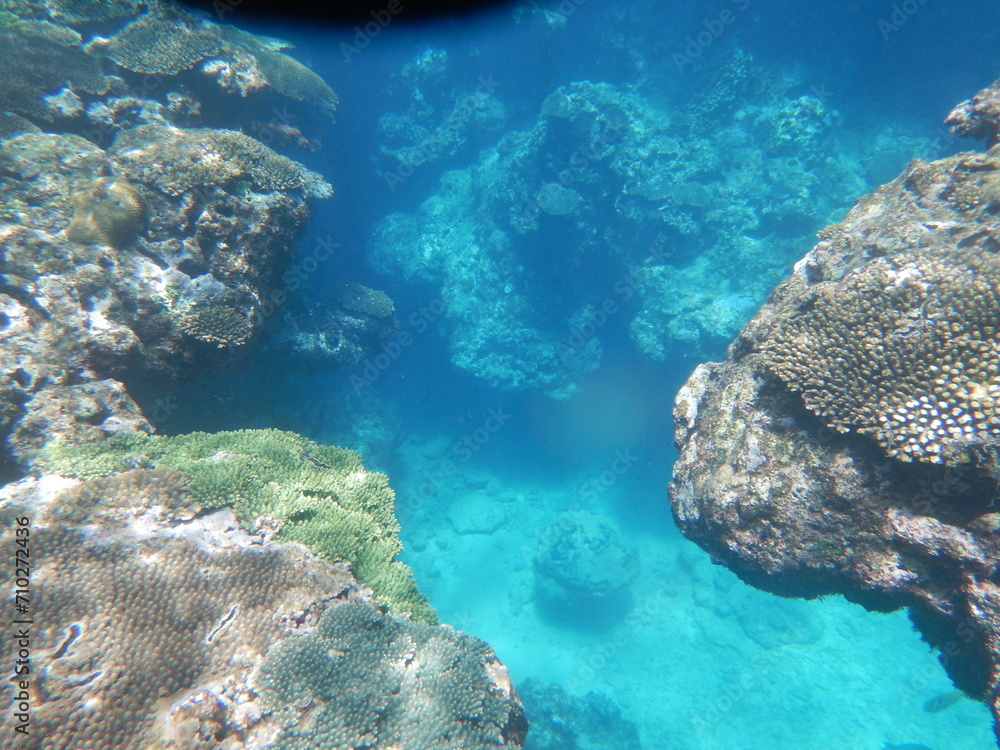 Fototapeta premium 沖縄の海 