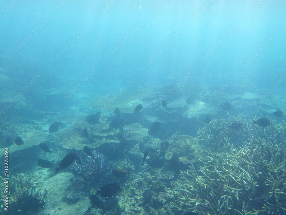 沖縄の海
沖縄の海