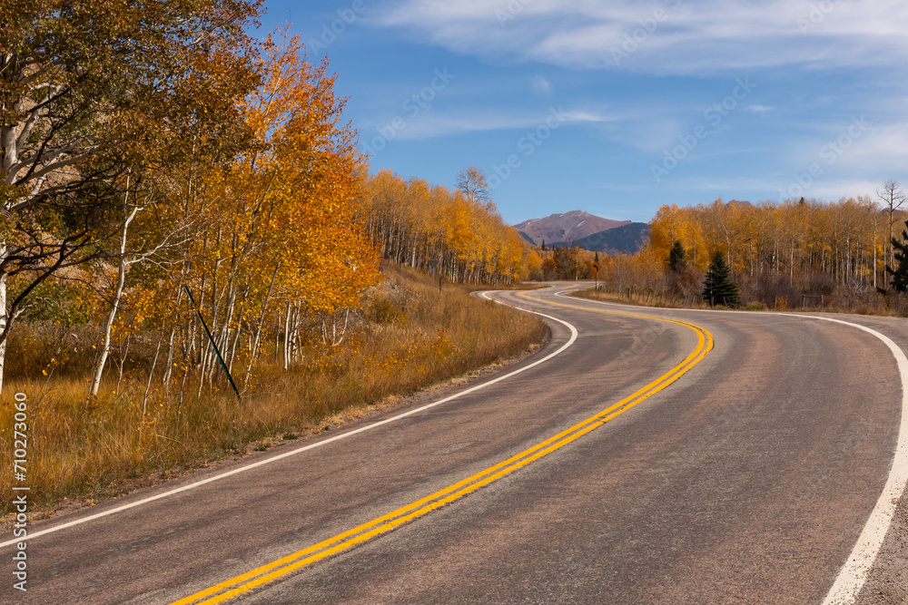 Fototapeta premium Winding road among trees with autumn golden foliage