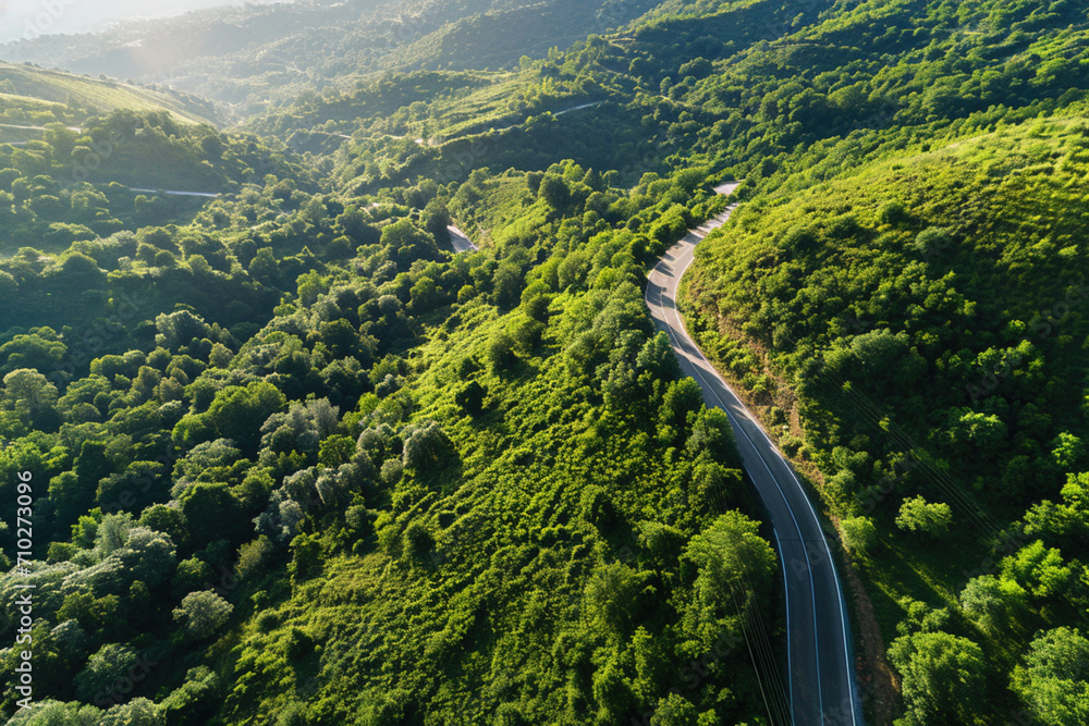 Summer in forest aerial top view. Winding road and forest trees. Soft light in countryside woodland or park. Drone shoot above colorful green texture in nature Summer in forest aerial top view. Winding road and forest trees. Soft light in countryside woodland or park. Drone shoot above colorful green texture in nature