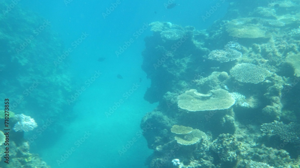 沖縄の海	
