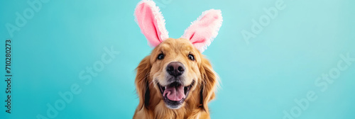 Banner with dog dressed in pink Easter bunny ears photo
