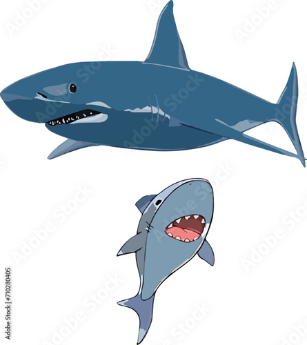 Blue Shark