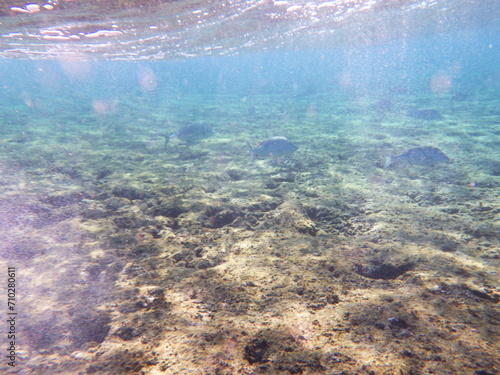 沖縄の海 