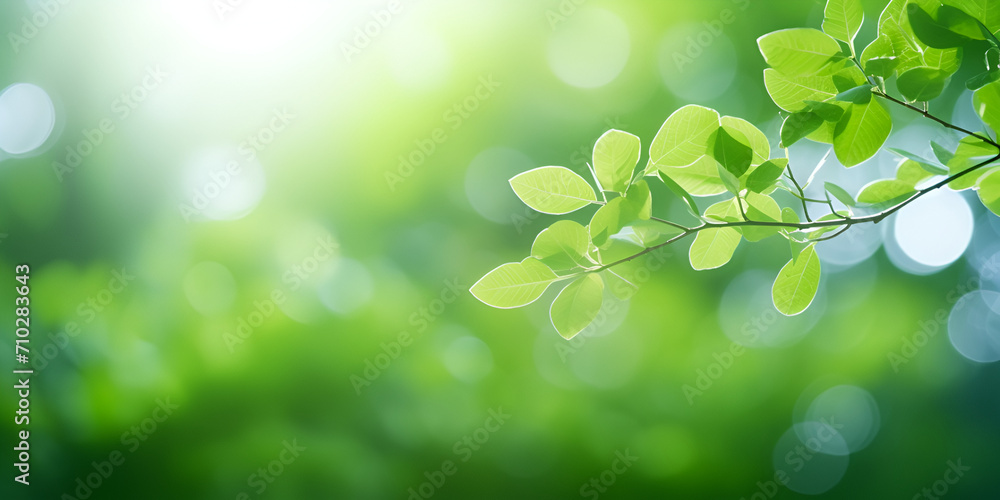 spring green background, Beautiful nature view green leaf on blurred greenery, Green leaves on a tree, Green Nature, Beautiful Nature View with Green Leaves, Generative AI