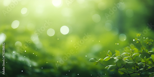 green grass with dew drops, Summer nature background scene, A blurry photo of green grass and trees, Blurred dark greenery background with bokeh lights, Green Nature on Blur, Generative AI