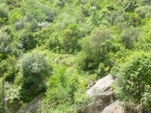 landscape of mountain valley