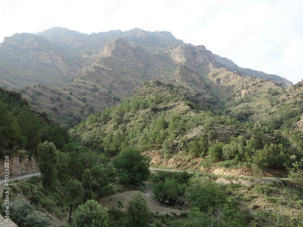 Fototapeta premium landscape view of hill valley