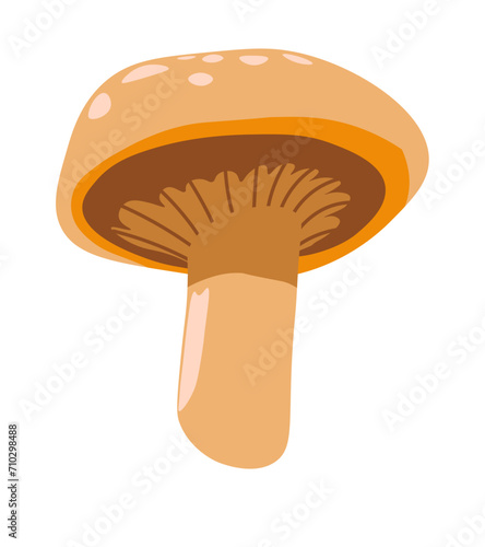 Organic mushroom vegetable, organic veggie food
