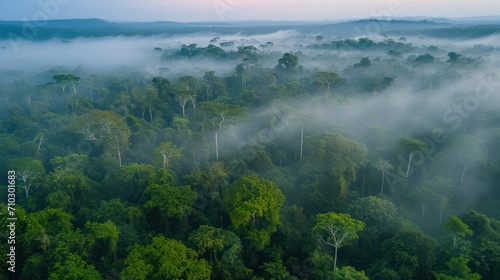Aerial view of the morning fog in the tropical forest. Landscape