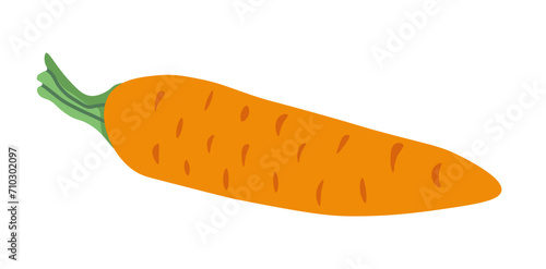 Carrot with leaf, organic natural farm vegetable