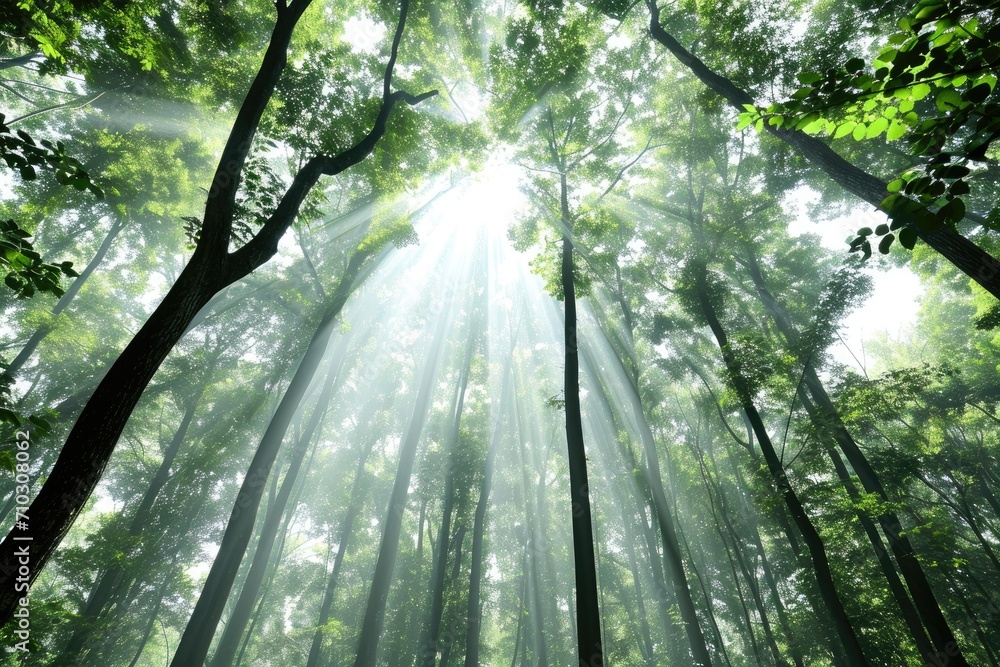 the breathtaking of beauty nature professional photography