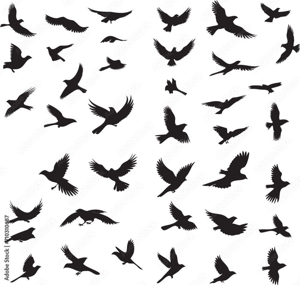 Bird flying silhouette isolated on white background Bird flying silhouette isolated on white background