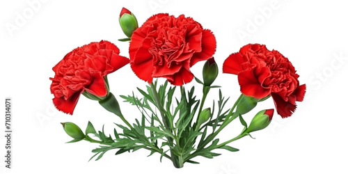 red carnation flower with green buds and small leaves Artificial Intelligence Generative