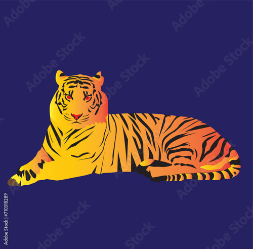 tiger on a white background