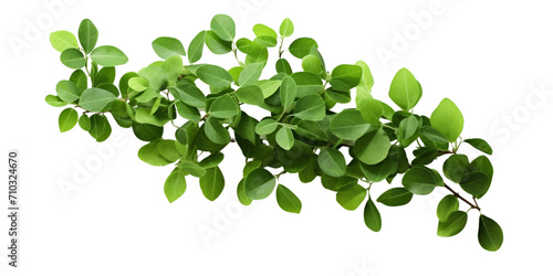 Green leaves in arrangement Artificial Intelligence Generative
