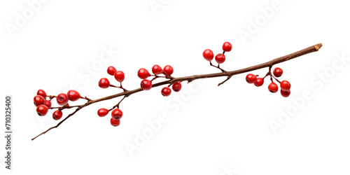 Dry twigs with berries Artificial Intelligence Generative