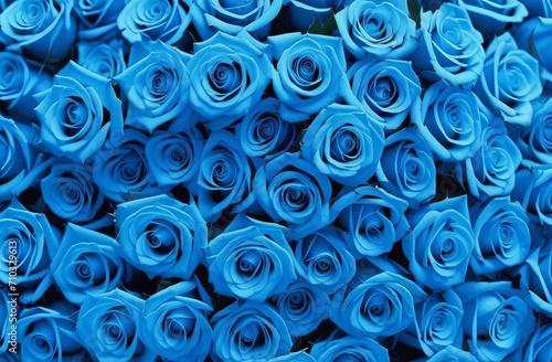 Blue roses pattern