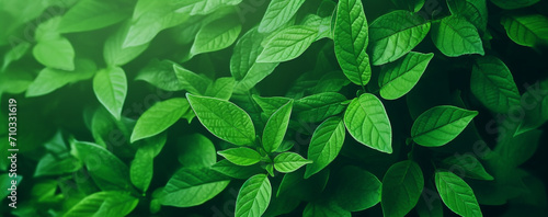 Close-up of a bunch of green leaves, nature, Generative AI