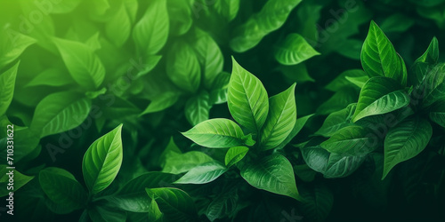 Close-up of a bunch of green leaves, nature, Generative AI