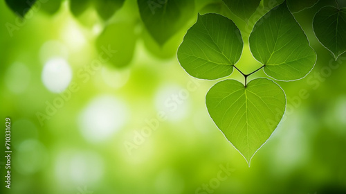 Close-up of a tree branch with heart-shaped green leaves, Generative AI