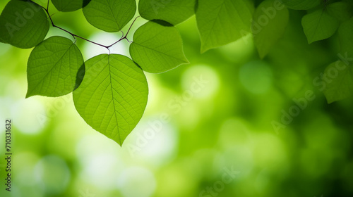 Close-up of a tree branch with heart-shaped green leaves, Generative AI